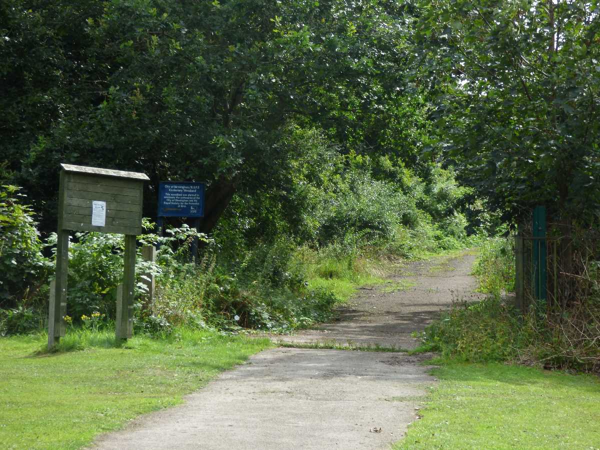 Centenary Woodland Cannon Hill Park